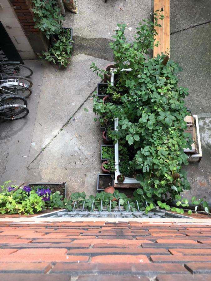 Downtown City - Privaterooms Fürth الغرفة الصورة